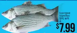 Hmart Fresh Hybrid Striped Bass offer
