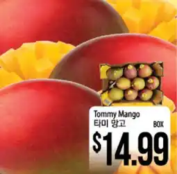 Hmart Tommy Mango offer