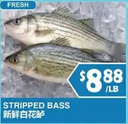 99 Ranch Stripped Bass offer