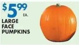 Met Foodmarkets Large Face Pumpkins offer