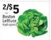Met Foodmarkets Boston Lettuce offer