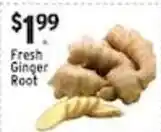 Met Foodmarkets Fresh Ginger Root offer