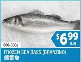 Frozen Sea Bass (Branzino)