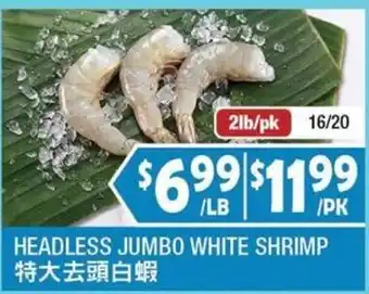 Headless Jumbo White Shrimp