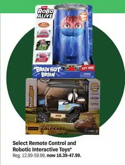 Meijer Select Remote Control and Robotic Interactive Toys offer