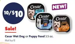 Family Dollar Cesar Wet Dog or Puppy Food offer