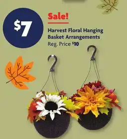 Family Dollar Harvest Floral Hanging Basket Arrangements offer