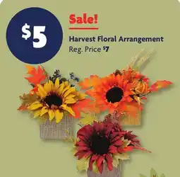 Family Dollar Harvest Floral Arrangement offer