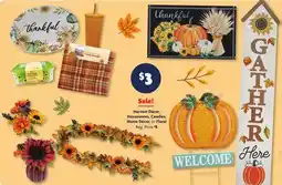 Family Dollar Harvest Décor, Housewares, Candles, Home Décor, or Floral offer