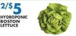 Met Foodmarkets Hydroponic boston lettuce offer