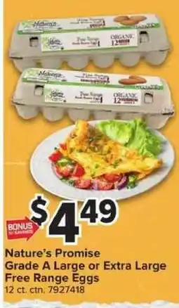 Giant Food Nature's Promise Grade A Large or Extra Large Free Range Eggs offer