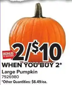 Giant Food Large Pumpkin offer