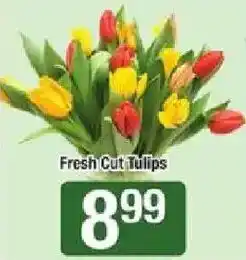 Star Market Fresh Cut Tulips offer