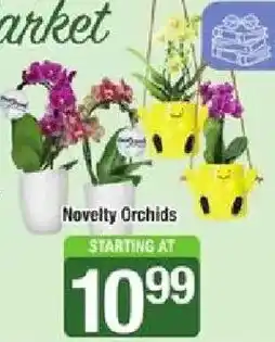 Star Market Novelty Orchids offer