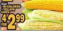 C Town Sweet bi-colored yellow corn offer