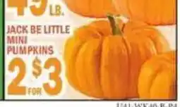 C Town Jack be little mini pumpkins offer