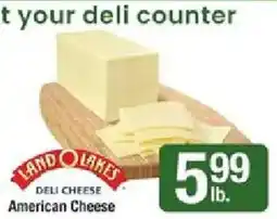 Shaw's Land o lakes deli cheese american cheese offer