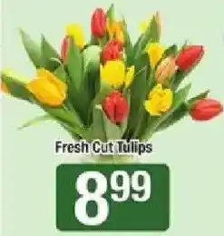 Shaw's Fresh Cut Tulips offer