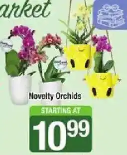 Shaw's Novelty Orchids offer