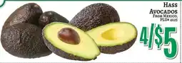 Trade Fair Supermarket Hass avocados offer