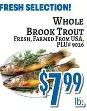 Trade Fair Supermarket Whole Brook Trout offer