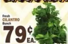 Bravo Supermarkets Fresh Cilantro Bunch offer