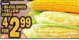 Bravo Supermarkets Sweet bi-colored yellow corn offer