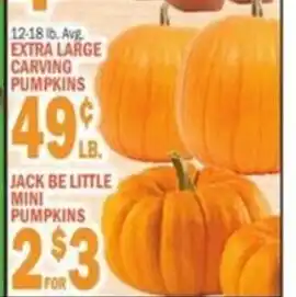 Jack Be Little Mini Pumpkins