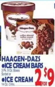 Bravo Supermarkets Haagen-Dazs ice cream bars offer