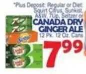 Bravo Supermarkets Canada Dry Ginger Ale offer