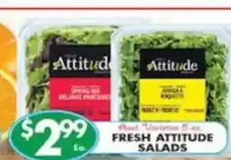 Associated Fresh attitude salads offer