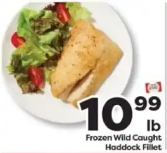 Frozen Wild Caught Haddock Fillet