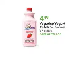 Publix Yogurico Yogurt offer