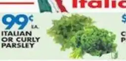 Associated Italian or curly parsley offer