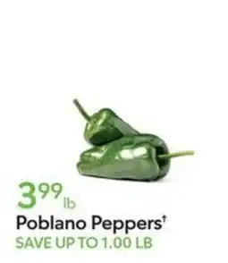 Publix Poblano Peppers offer
