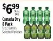 Pioneer Supermarkets Canada Dry offer