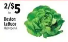 Pioneer Supermarkets Boston Lettuce offer