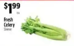 Pioneer Supermarkets Fresh Celery Sleeve offer