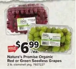 Giant Food Nature's Promise Organic Red or Green Seedless Grapes offer