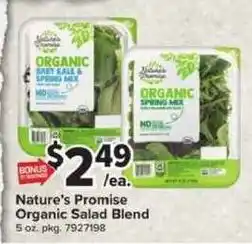 Giant Food Nature's Promise Organic Salad Blend offer