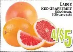 Trade Fair Supermarket Large Red Grapefruit offer