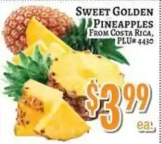 Trade Fair Supermarket sweet golden pineapples offer