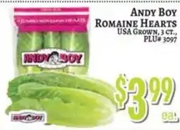 Trade Fair Supermarket Andy Boy Romaine Hearts offer