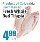 Food Universe Fresh Whole Red Tilapia offer
