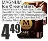 Food Universe Magnum ice cream bars offer