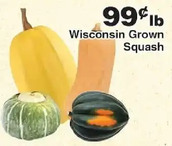 Wisconsin Grown Squash