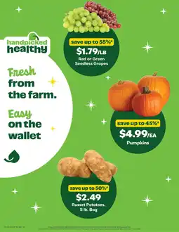 Grocery Outlet Red or Green Seedless Grapes offer