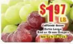 Super One Foods California Grown Extra Large Red or Green Grapes offer