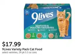 Fareway 9Lives Variety Pack Cat Food offer