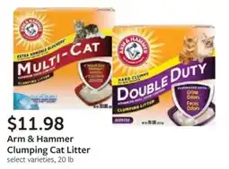 Fareway Arm & Hammer Clumping Cat Litter offer
